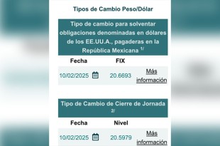 La imposición del 25% a las importaciones de metales impacta a la moneda mexicana, que cierra en 20.59 unidades por dólar