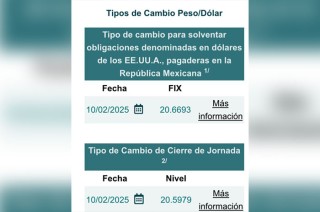 La imposición del 25% a las importaciones de metales impacta a la moneda mexicana, que cierra en 20.59 unidades por dólar