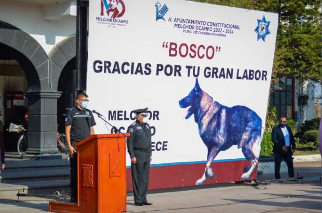 Bosco falleció el 12 de marzo debido a una gastroenteritis.