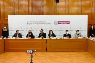 La legisladora de Movimiento Ciudadano Juana Bonilla, dijo coincidir con esta propuesta que busca cuidar la polinización de las abejas