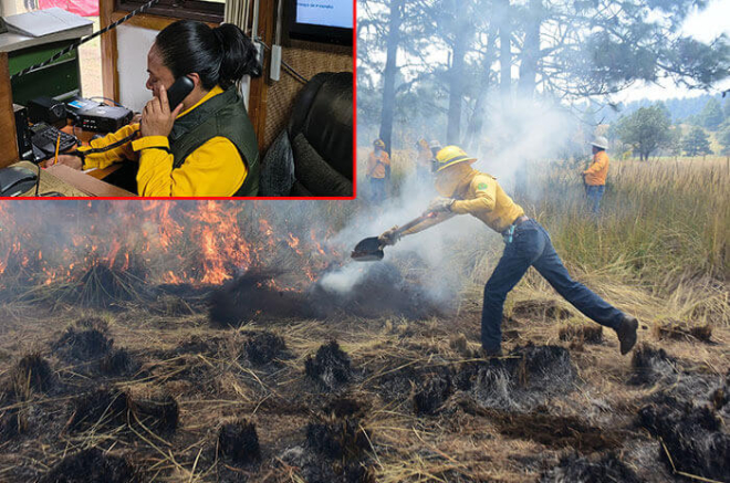 Brigadas forestales atienden incendios en Edoméx tras reportes ciudadanos al Teléfono Rojo.