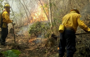 Primer lugar: Registra Edomex mil 288 incendios forestales en 2019