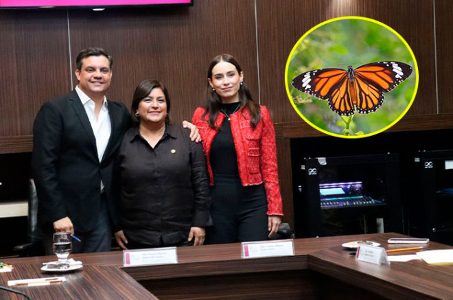 Busca declarar paisajes protegidos en municipios como Atlautla, Santiago Tianguistenco, Jiquipilco, Zinacantepec, Almoloya de Juárez y Amanalco