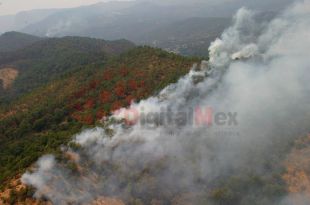 Este es el año en el que se han registrado menos incendios desde hace 10 años