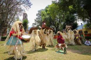 La mayoría de ellos habitantes de La Magdalena