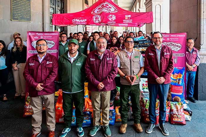 Video: Croquetmanía reúne 94 toneladas de alimento para michis y lomitos del Edoméx
