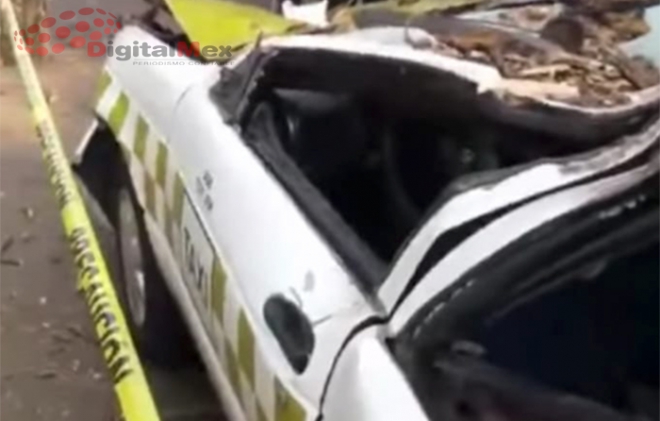 En la Toluca-Zitácuaro: muere taxista aplastado por árbol