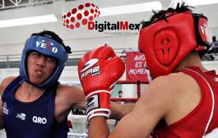 El Estado de México concretó el pase de 12 pugilistas a los Juegos Nacionales 2021