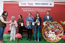 La UAEMéx, en colaboración con la Secretaría de Medio Ambiente, inauguró la XXXV Exposición de hongos. 