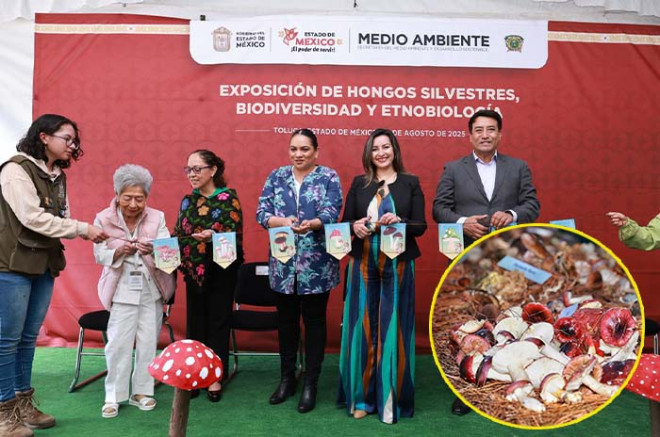 La UAEMéx, en colaboración con la Secretaría de Medio Ambiente, inauguró la XXXV Exposición de hongos. 