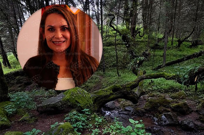La alcaldesa Erika Patricia Olea de la Torre explicó que el proyecto busca fortalecer las tradiciones religiosas de Santiago Tianguistenco y atraer visitantes durante todo el año.