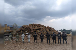Se aseguró un volumen de 83 metros cúbicos y una máquina hidráulica.
