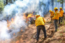 De acuerdo con los reportes de la Protectora de Bosques del Estado de México, algunos de los municipios con siniestros activos incluían Zinacantepec y Ocuilan