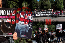 Entre pancartas y consignas, manifestantes de organizaciones como denunciaron que el Congreso mexiquense aún no ha dado respuesta.