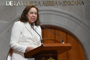 La diputada Mercedes Colín, presentó en sesión del Congreso la “Ley Nenis”