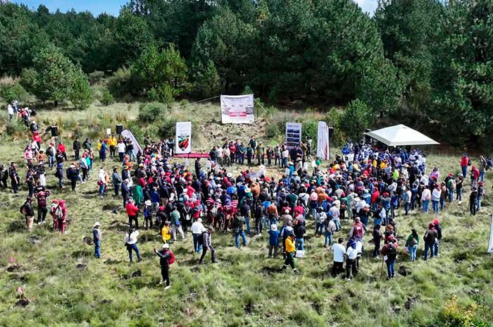 El municipio rebasó la meta de 126 mil árboles con más de 135 mil ejemplares