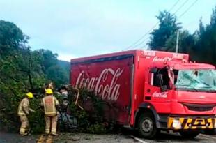 Provocó la caída de un árbol que que afectó a un camión repartidor de refrescos dejando una persona lesionada y el cierre parcial de la carretera