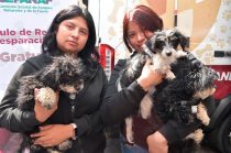 La jornada de la Estrategia CERA llegará este 16 de junio a La Paz con servicios gratuitos de esterilización, desparasitación y atención veterinaria para perros y gatos.