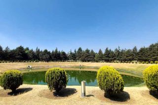 En este cuerpo de agua nunca se han dispuesto peces de ninguna especie, al menos no por parte de las autoridades municipales.