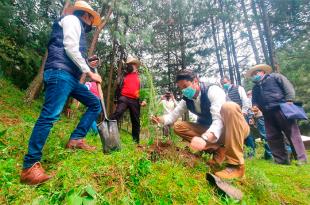 Obtienen apoyos económicos 21 beneficiarios de la subdelegación forestal Jilotepec