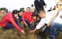 Plantar 600 mil árboles la meta en Villa Victoria para 2019