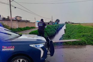 Cuadrillas municipales trabajan en distintos puntos de Toluca para retirar encharcamientos y ramas caídas tras la lluvia registrada este viernes.