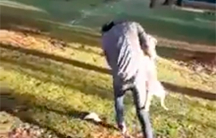 #Video: Piden expulsar a alumno de Chapingo por maltratar a un perro