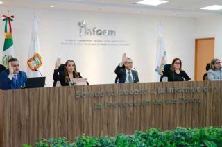 Los sujetos obligados deben proporcionar información en múltiples formatos, como discos compactos, dispositivos de almacenamiento, copias simples o certificadas, con opciones de entrega variadas.