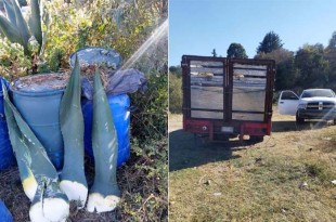 Se encontraron en una brecha cinco contenedores de 200 litros ocultos con hierba y 15 más al interior del vehículo los cuales contenían droga sintética, aparentemente cristal.