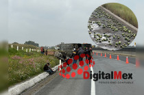 El vehículo, que transportaba limón, volcó y se incendió de forma inmediata.