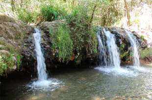 Resalta este municipio por su riqueza natural, tanto en flora como en fauna