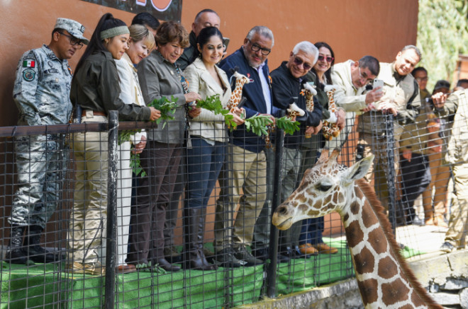 Delfina Gómez presenta a “Cosmo” en Zacango