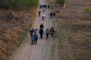 En Arizona y Texas se encontró el 93% de los cadáveres.