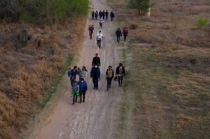 En Arizona y Texas se encontró el 93% de los cadáveres.