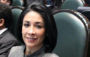 Agresores condenados no podrán ser candidatos: Karina Labastida