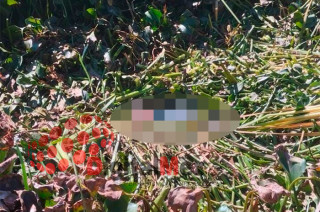 Una vez concluido el rescate, el área fue acordonada para permitir la intervención de las autoridades ministeriales.