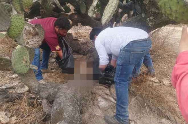 El usuario de Facebook Jando Dezvala documentó el asesinato de al menos siete canes