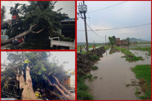 Afectaciones por lluvias en Toluca