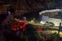 El accidente ocurrió sobre la carretera federal 134. 