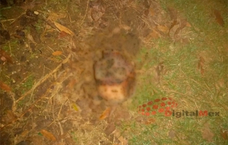 Encuentran restos humanos en #TenangoDelValle