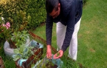 IMSS ahora se dedica a sembrar huertos