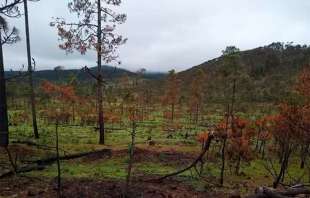 Denunciaron que, en los últimos meses, han sufrido la escasez de agua