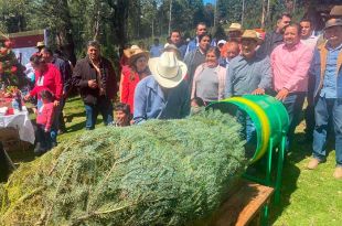 Las familias mexiquenses que bien pueden elegir uno de los plantíos en Google Maps