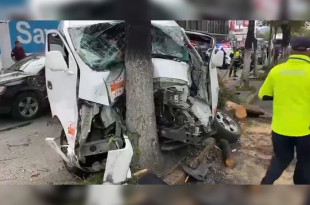 Uno de los vehículos impactó un árbol del camellón, el cual fue derribado, generando mayor riesgo en la zona.