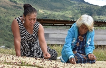 Zapoteca gana concurso de fotografía indígena