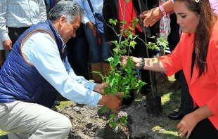 Proyecta Toluca sembrar 3 mil 500 árboles