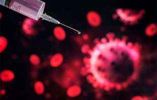 Algunos países han hecho investigaciones extraordinarias; además de prueba y error para conseguir una vacuna eficiente