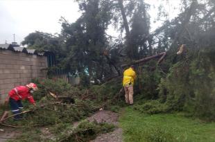 #Video: Tromba con granizo azota Almoloya de Juárez