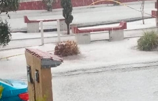 #Toluca: Granizada derriba árboles y un techo en Sauces