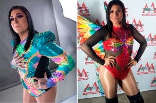 Desde su debut en 2005, Mamba ha tenido enfrentamientos memorables con luchadores como Dulce Paola y Pimpinela